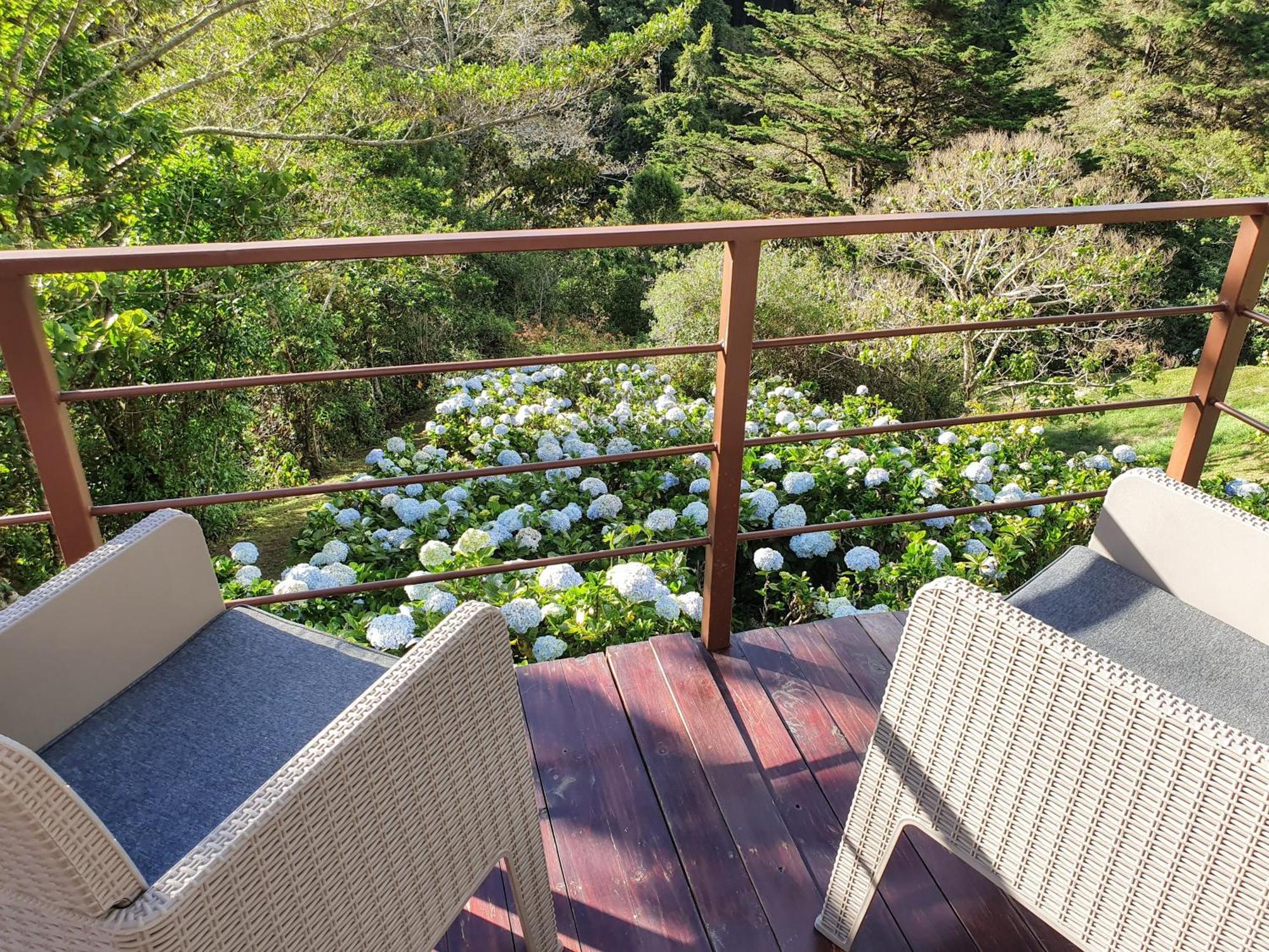Villa Quinta Esencia Alajuela Esterno foto