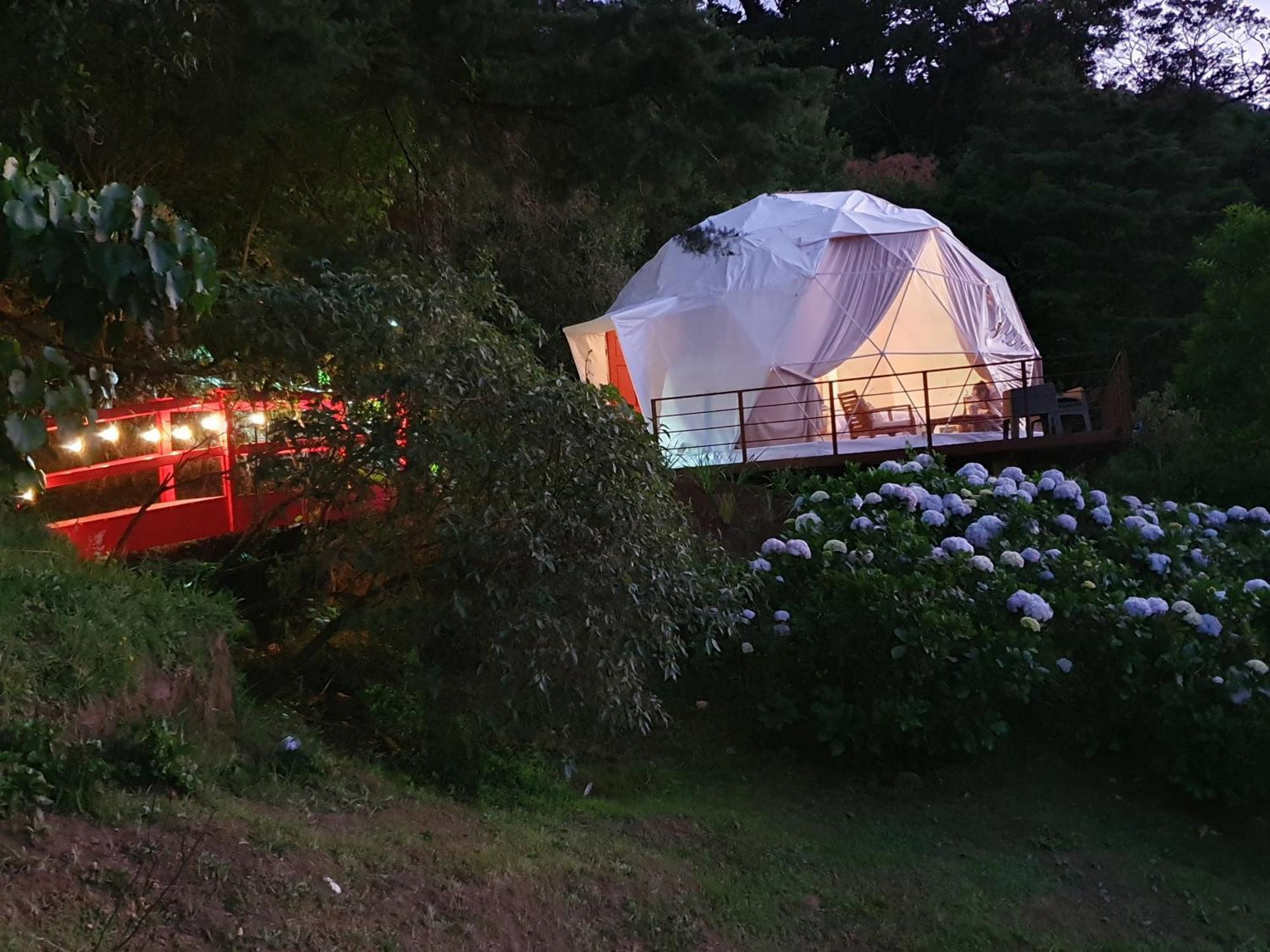 Villa Quinta Esencia Alajuela Esterno foto