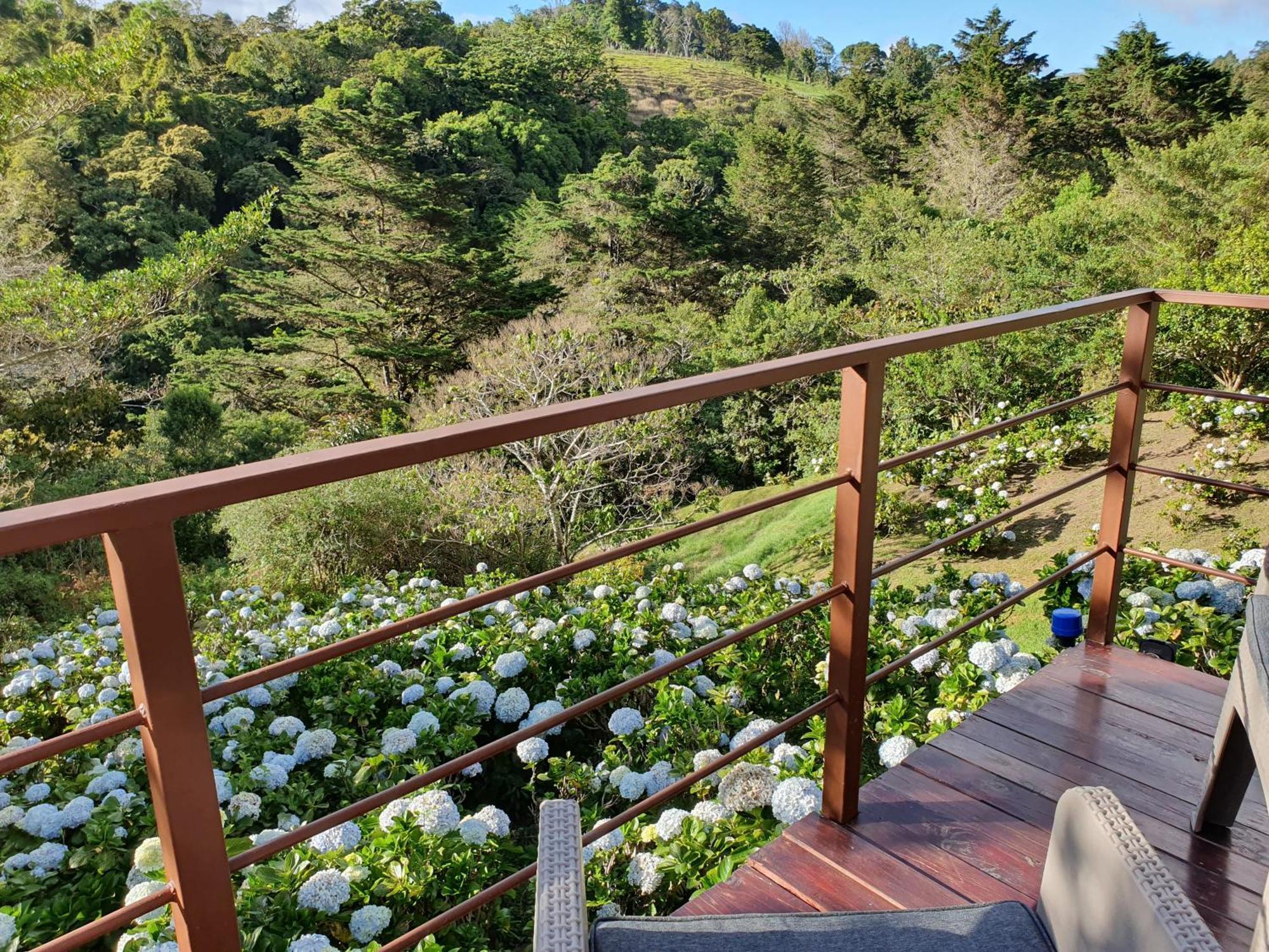 Villa Quinta Esencia Alajuela Esterno foto