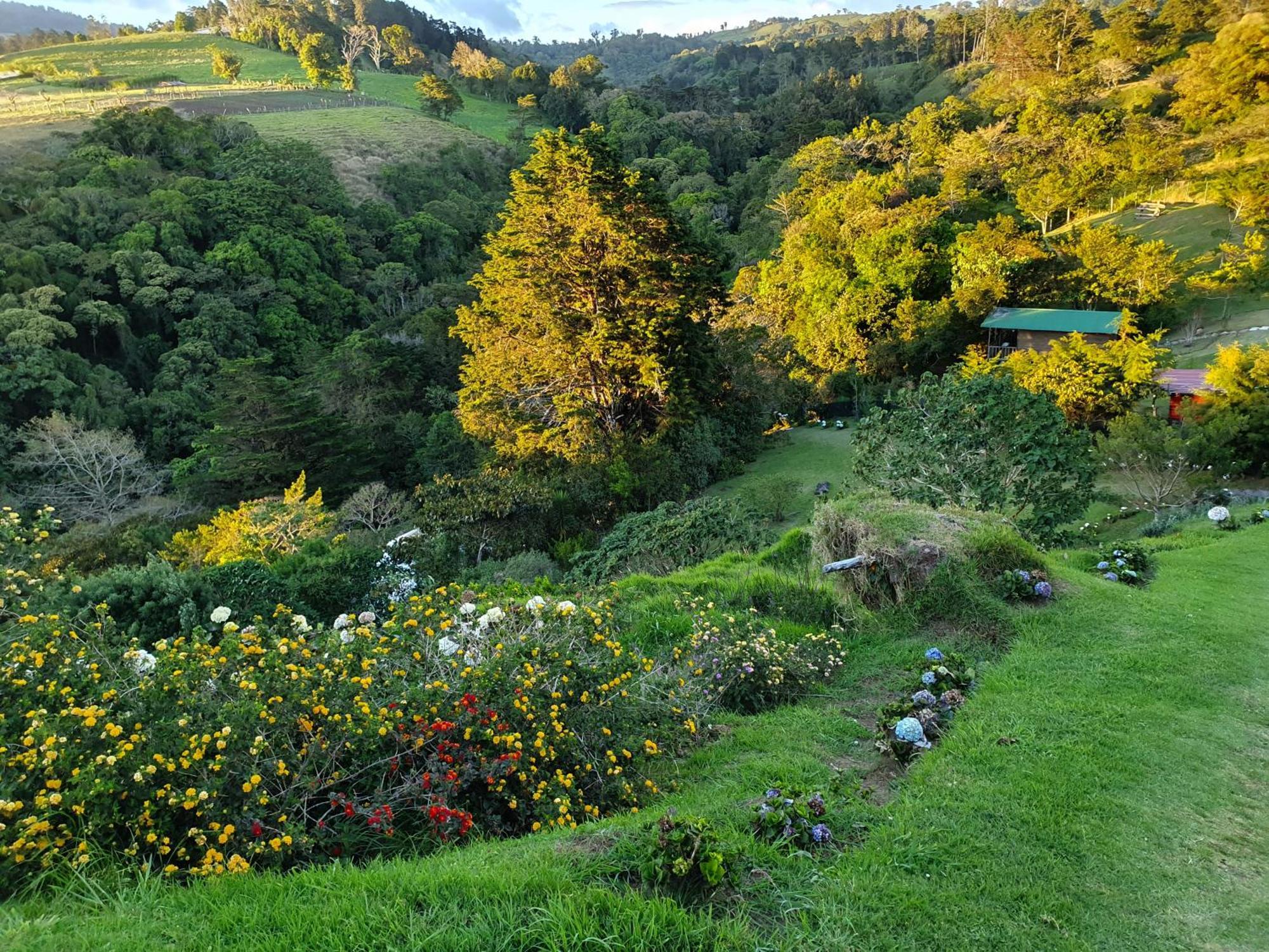 Villa Quinta Esencia Alajuela Esterno foto